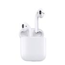 Apple AirPods with Charging Case 進口貨